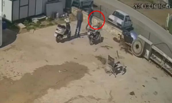 Kedisini öldüren köpeği hortumla dövdü!